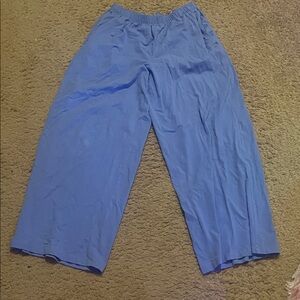 Aerie Blue Pajama Pants
